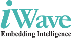 iWave Systems