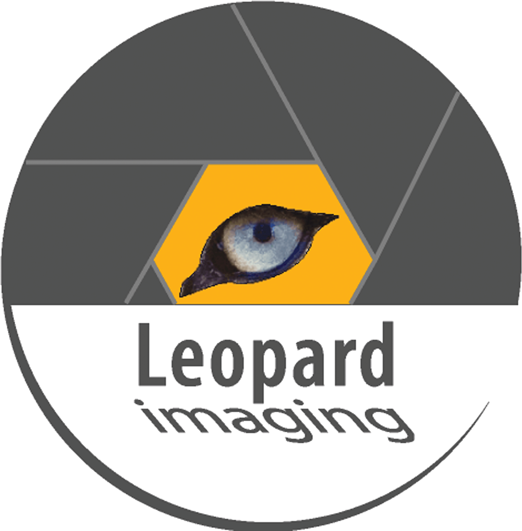 Leopard Imaging Inc.